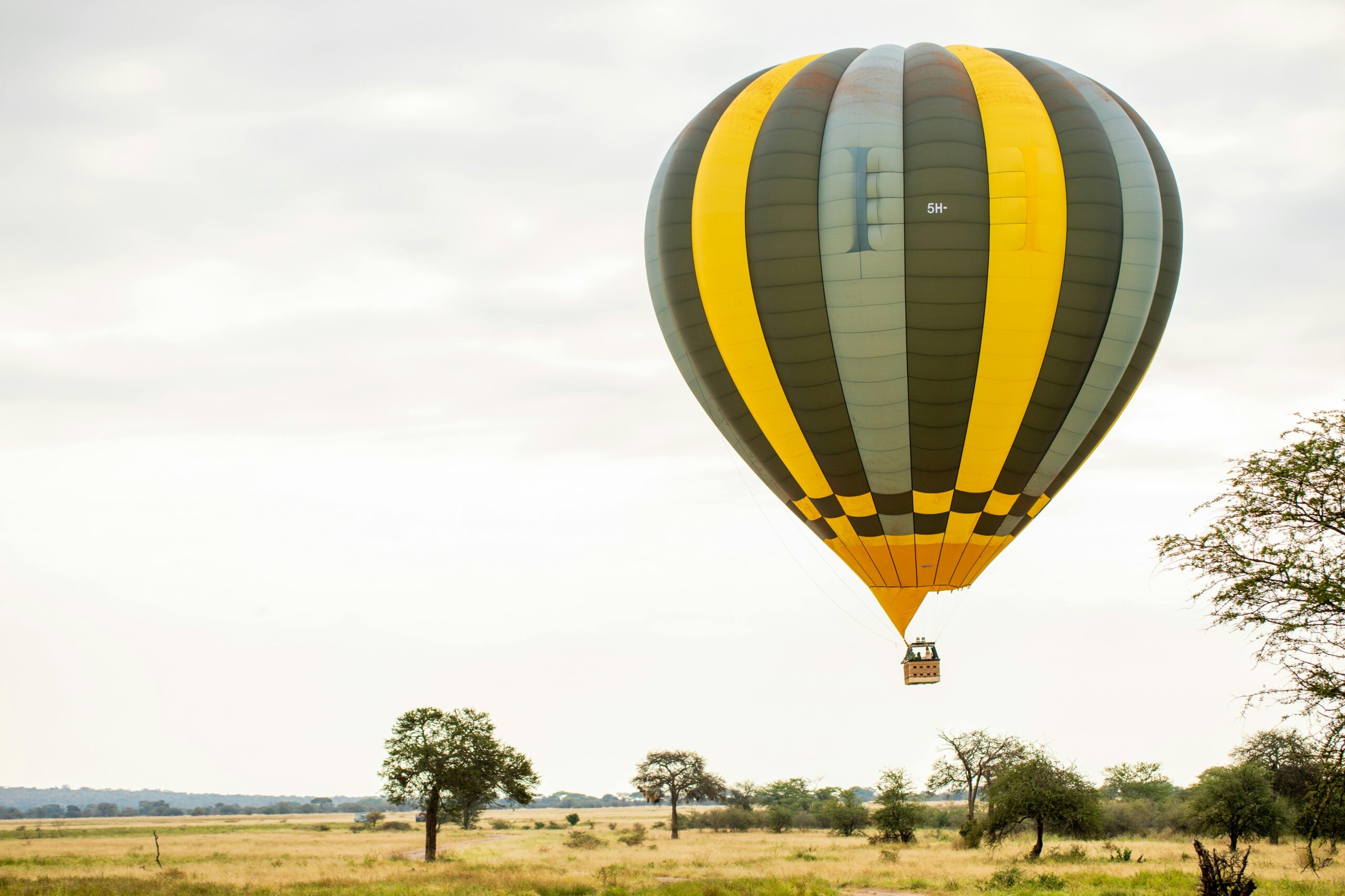 pexels-tanzania-wild-sky-986912744-20179674