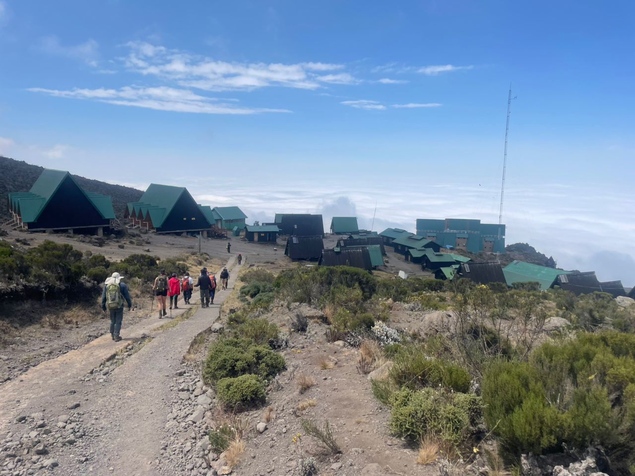 Above The Rim Tours guides on Kilimanjaro