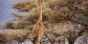 WhatsApp Image 2024-10-05 at 07.43.51_c9cdcf4b WhatsApp Image 2024-10-05 at 07.43.51_c9cdcf4b